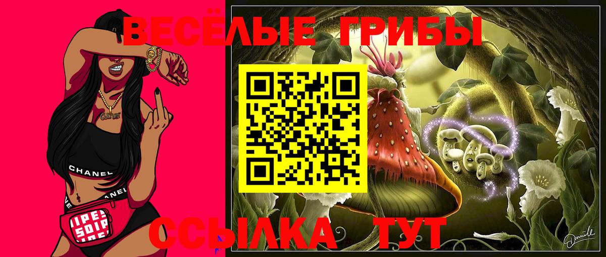 Псилоцибиновые грибы ЛСД Киселёвск
