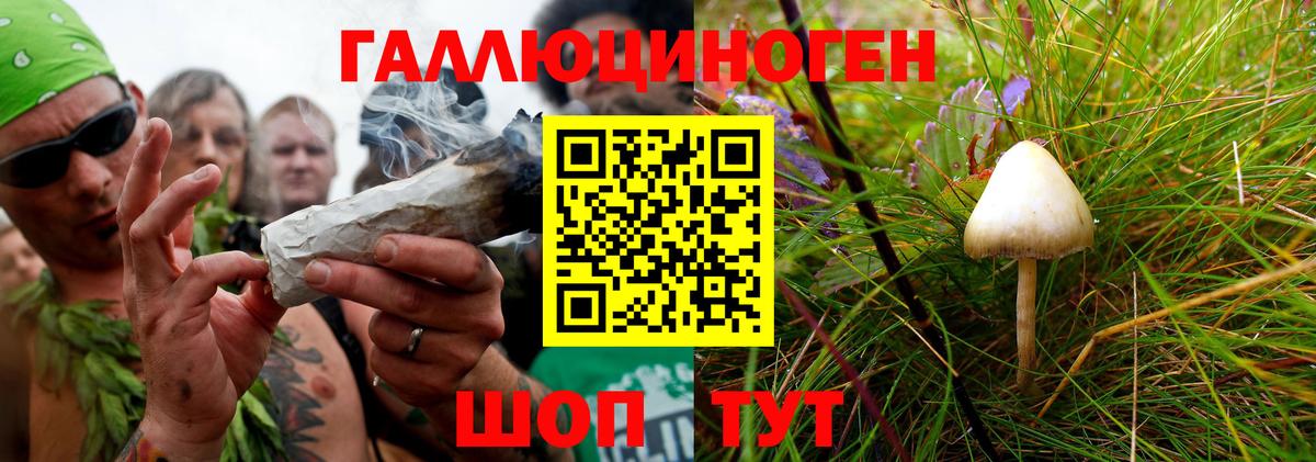 Галлюциногенные грибы MAGIC MUSHROOMS  Галлюциногенные грибы мицелий  Киселёвск  Вход с VPN 